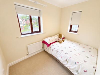 Picture 12